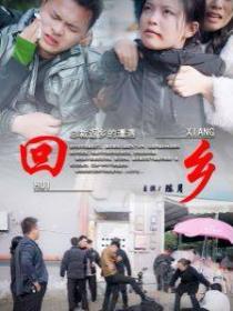 短剧《回乡》海报