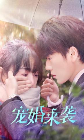 短剧宠婚来袭海报