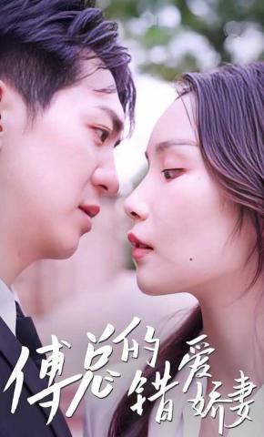 短剧傅总的错爱娇妻海报