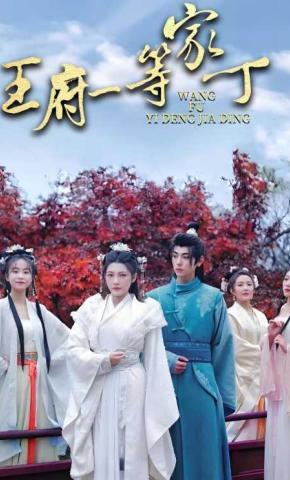 短剧王府一等家丁海报