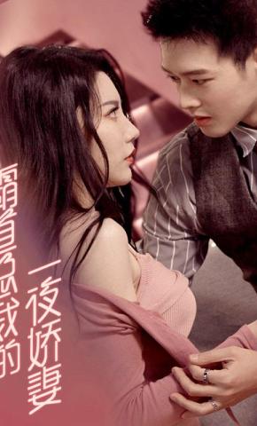 短剧霸道总裁的一夜娇妻海报