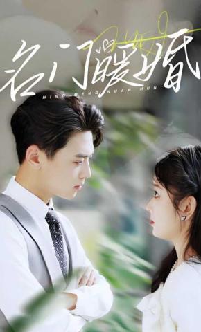 短剧《名门暖婚》海报