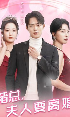 短剧褚总，夫人要离婚海报