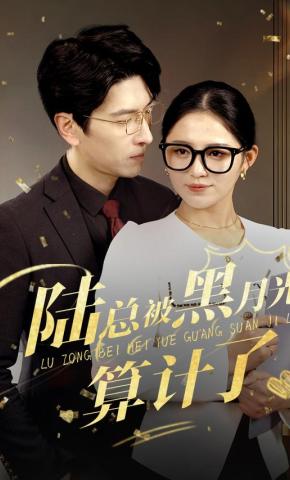 短剧陆总被黑月光算计了海报