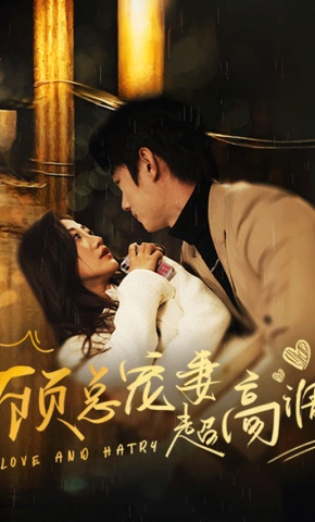 短剧顾总宠妻超高调海报