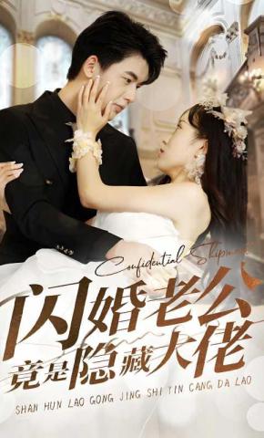短剧闪婚老公竟是隐藏大佬海报