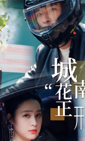 短剧《城南花正开》海报