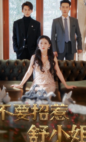 短剧不要招惹舒小姐海报