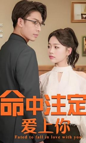 短剧命中注定爱上你海报