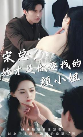 短剧宋总，她才是你要找的颜小姐！海报