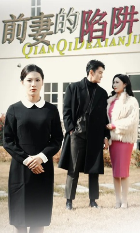 短剧前妻的陷阱海报