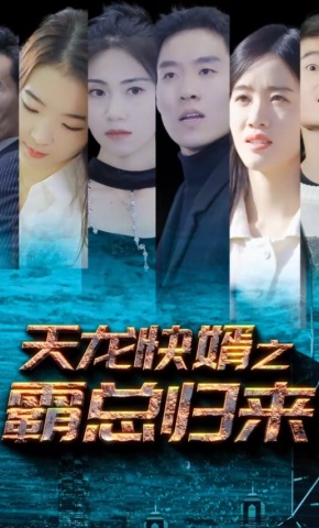 短剧天龙快婿海报