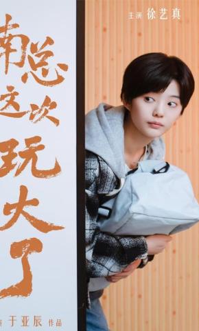 短剧南总这次玩大了海报