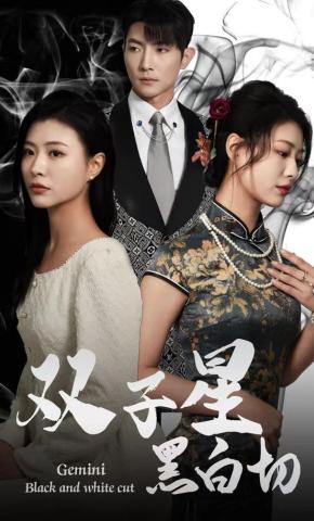 短剧《双子星黑白切》海报