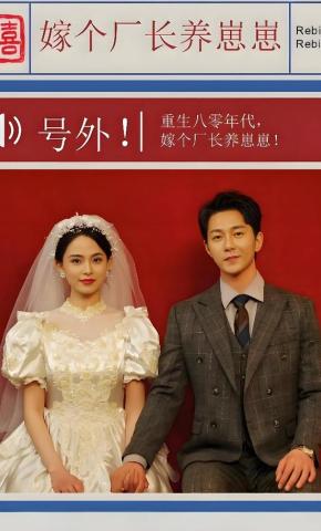 短剧《嫁个厂长养崽崽》海报