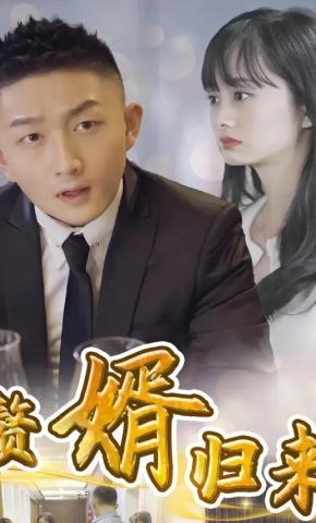 短剧赘婿归来海报