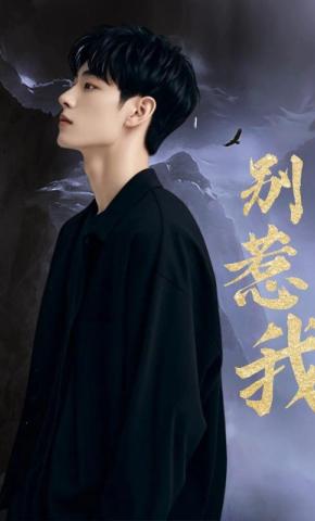 短剧别惹我海报