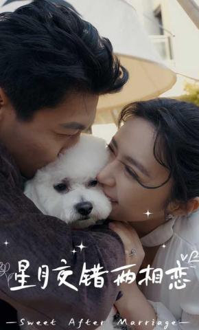 短剧星月交错两相恋海报