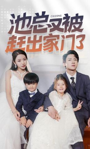 短剧池总又被赶出家门了海报