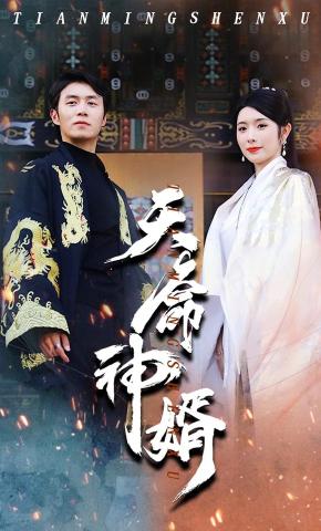 短剧《天命神婿》海报