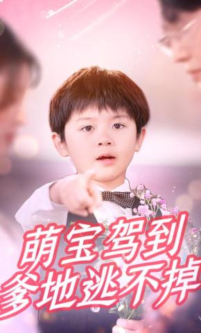 短剧萌宝驾到，爹地逃不掉海报