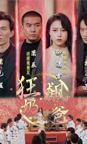 短剧狂飙奶爸海报