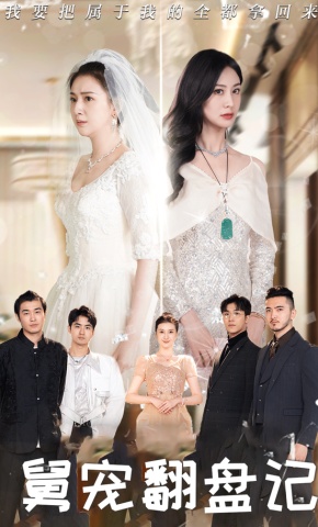 短剧舅宠翻盘记海报