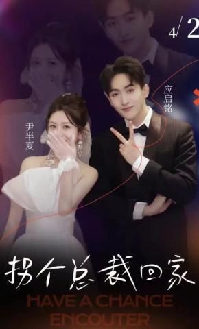 短剧拐个总裁回家海报