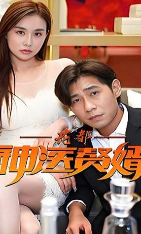 短剧《花都神医赘婿》海报