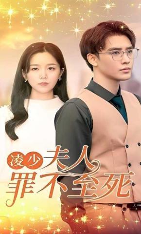 短剧凌少，夫人罪不至死海报