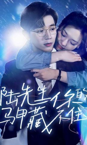 短剧《先婚后爱陆总马甲藏不住了》海报