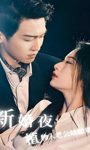 短剧新婚夜，植物人老公站起来了海报