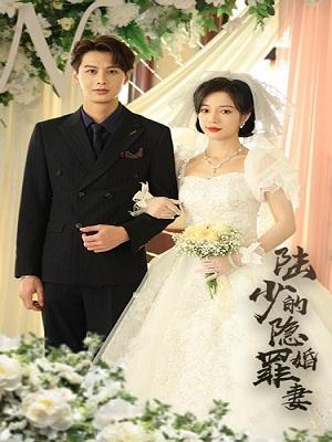 短剧《陆少的隐婚罪妻》海报