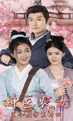 短剧神医农女：买个相公来种田海报