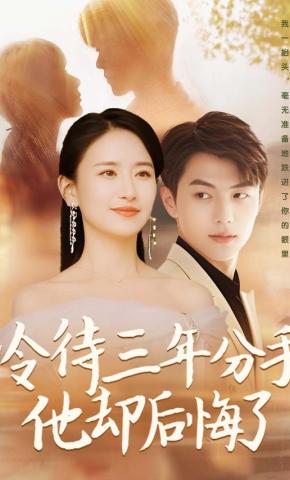 短剧冷待三年分手他却后悔了海报