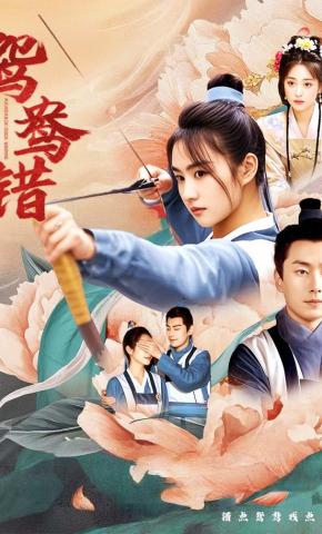 短剧鸳鸯错海报