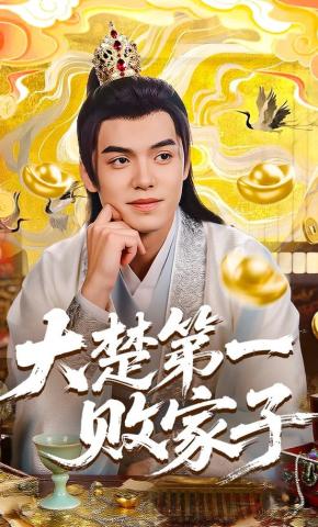 短剧大楚第一败家子海报