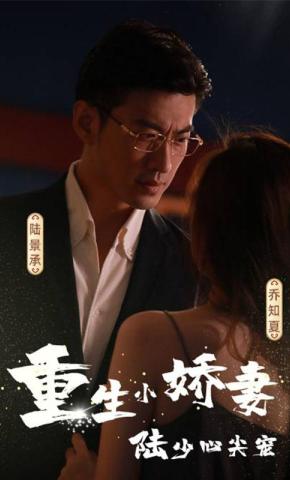 短剧重生小娇妻，陆少心尖宠海报