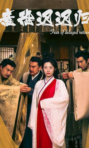 短剧《意恐迟迟归》海报