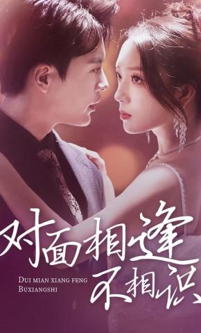 短剧《对面相逢不相识》海报