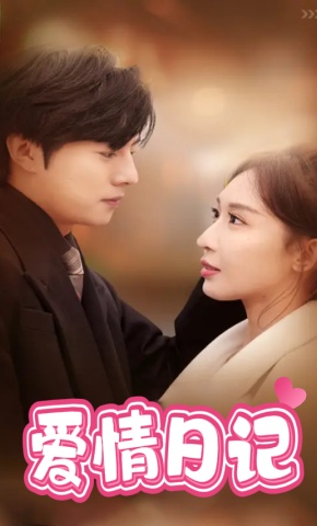 短剧爱情日记海报