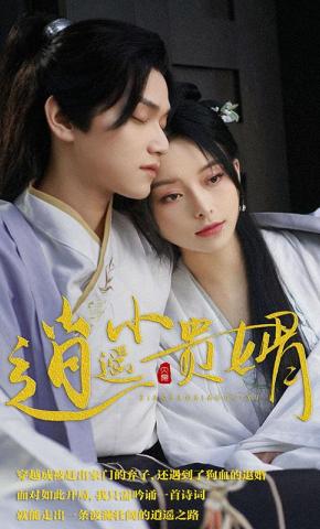 短剧《逍遥小贵婿》海报