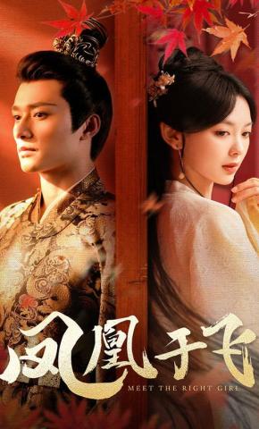 短剧《凤凰于飞》海报