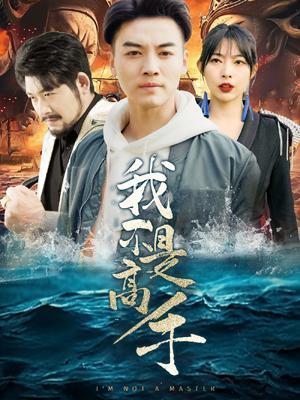 短剧《我不是高手》海报