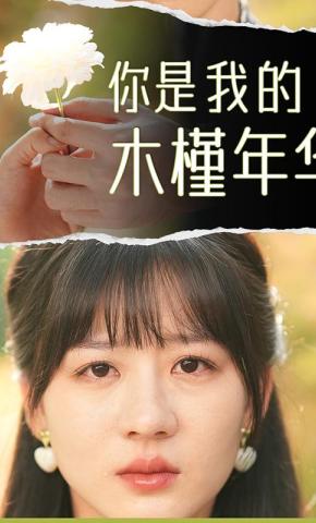 短剧你是我的木槿年华海报