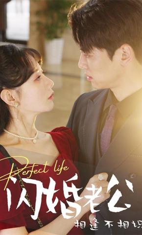 短剧《闪婚老公相逢不相识》海报