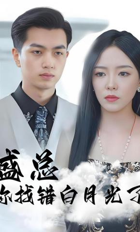 短剧盛总你找错白月光了海报