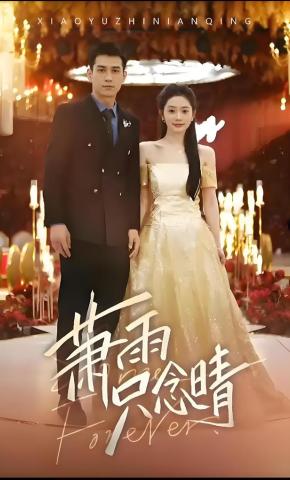 短剧萧雨只念晴海报