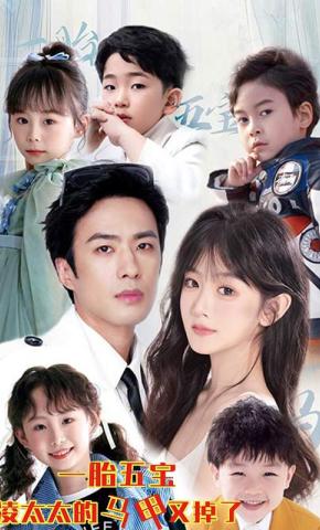 短剧一胎五宝凌太太的马甲又掉了海报