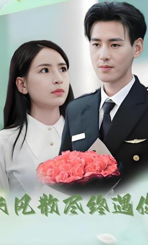 短剧长风散尽终遇你海报